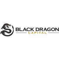 Black Dragon Capital logo