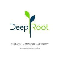 DeepRoot logo