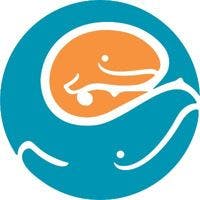 Seattle Children's Healthcare Sy... logo