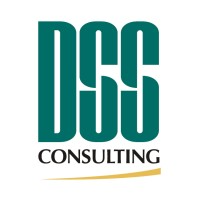 DSS Consulting logo