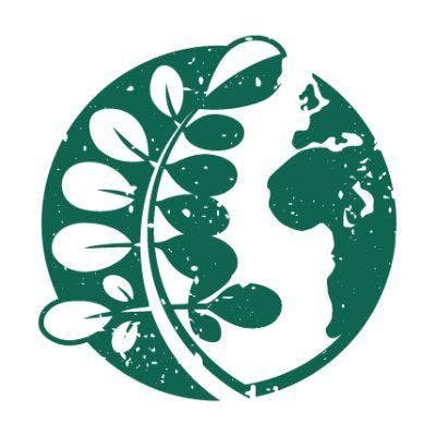 ECHO International logo
