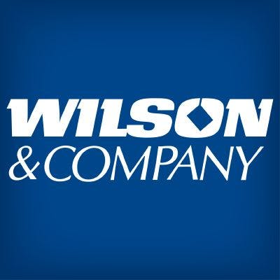 Wilson & Company logo