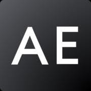 AEO Management logo