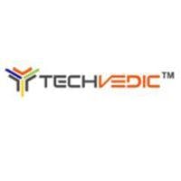 Techvedic Inc logo