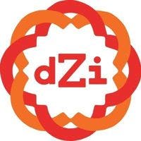 dZi Foundation logo