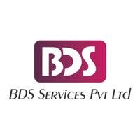 BDS Services Pvt logo