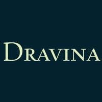 Dravina Services logo