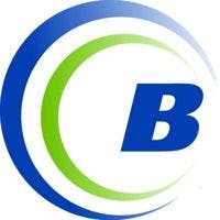 BirchStreet Systems, Inc. logo
