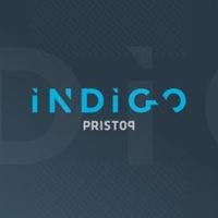 Indigo Data driven consulting logo