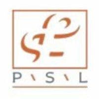 PSL Group logo
