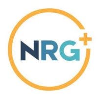 The Northridge Group logo