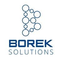 Borek Solutions logo