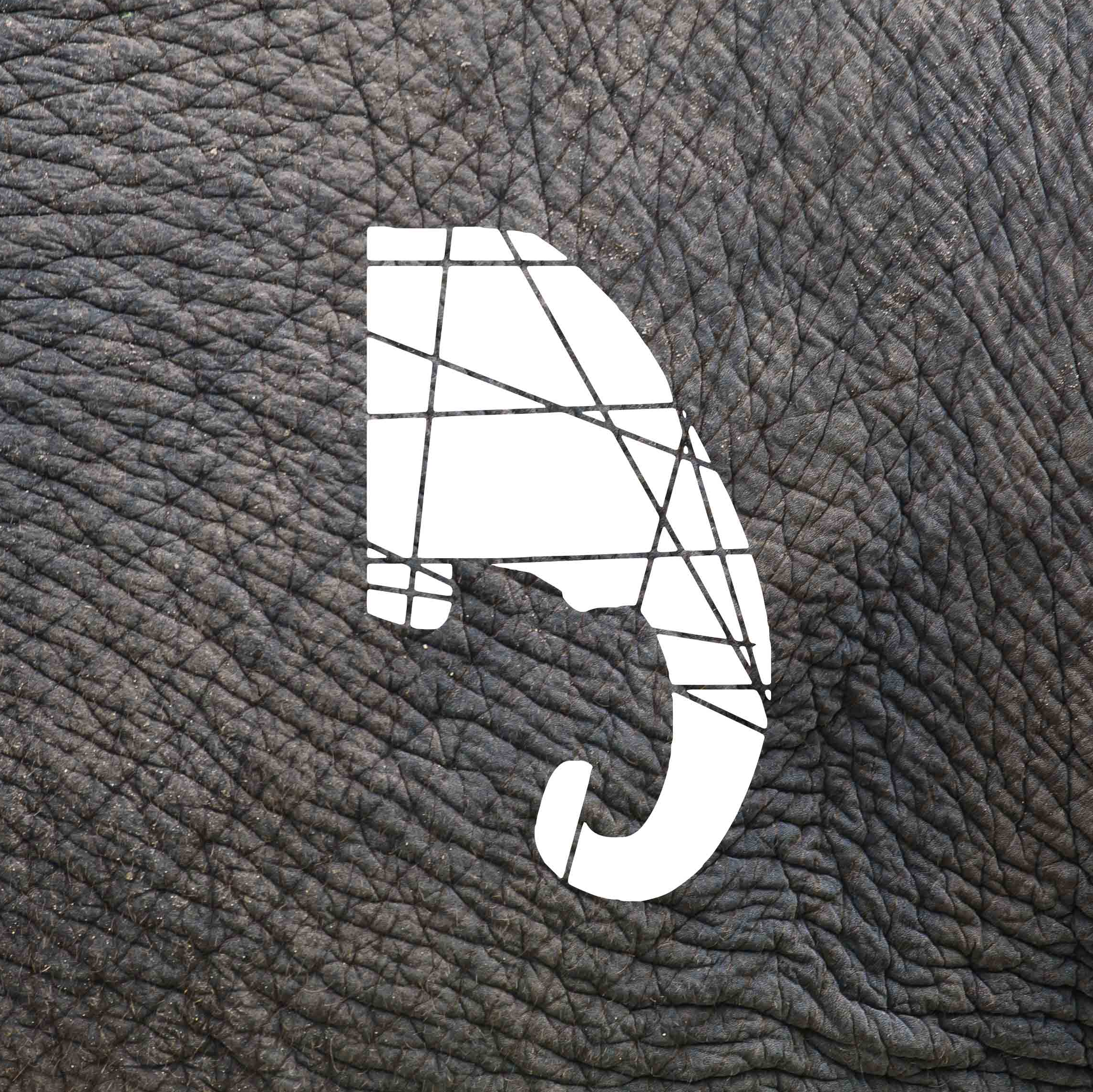 Elephant Skin logo