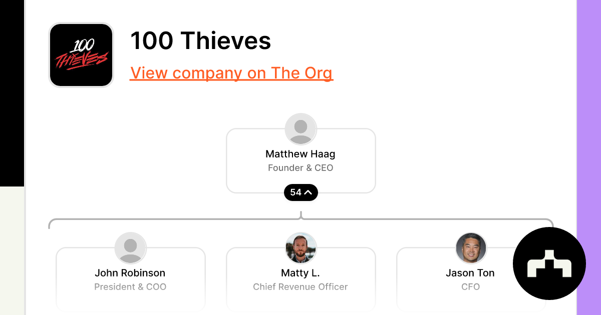 Gaming Organization 100 Thieves Signs  Stars 2Hype – The