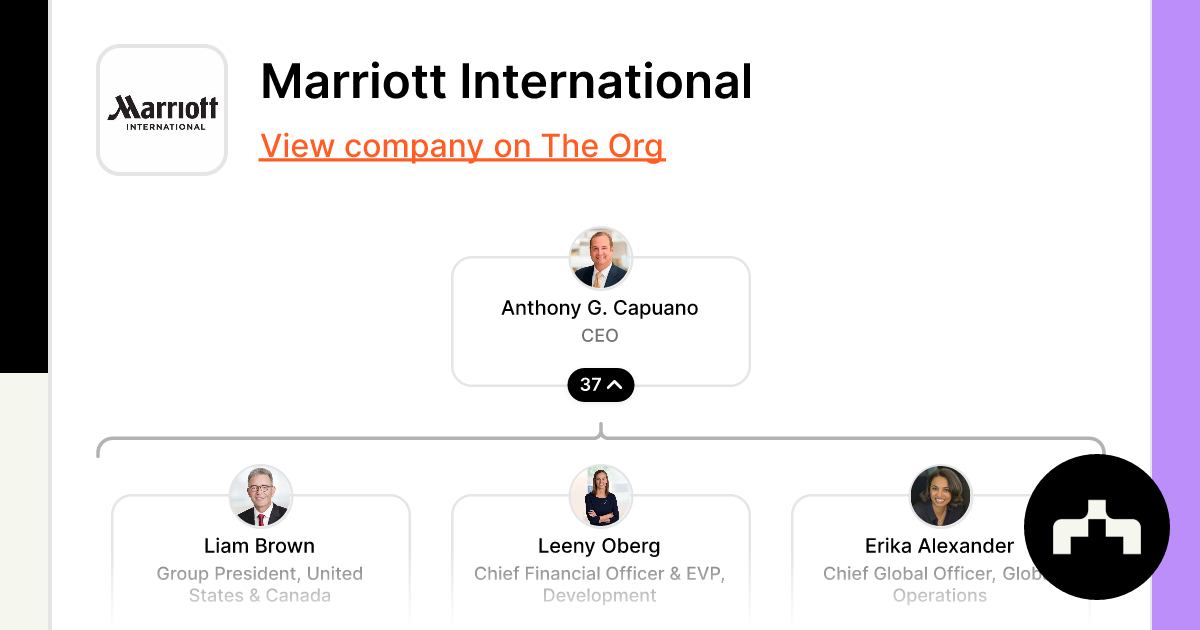 Organizational Chart Organizational Structure Marriott International  Management, PNG, 8755x5994px, Organizational Chart, Brand, Chart, Company,  Diagram Download Free