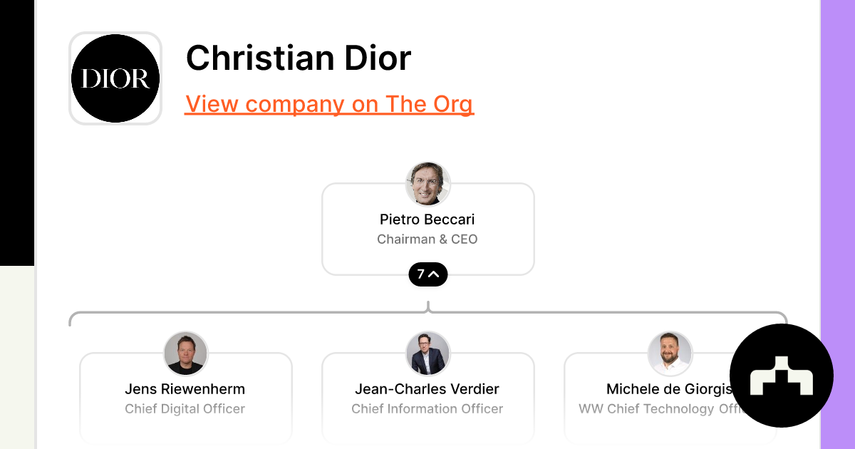 Organizational Chart - Christian Dior Organigramme - 544x329 PNG