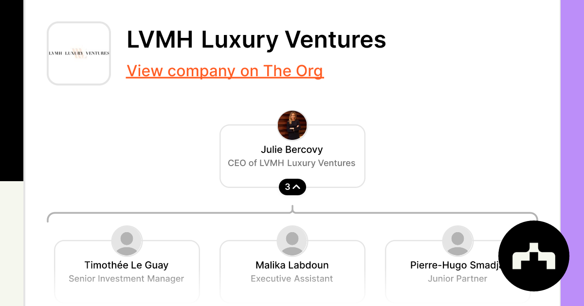 LVMH Luxury Ventures investor portfolio, rounds & team