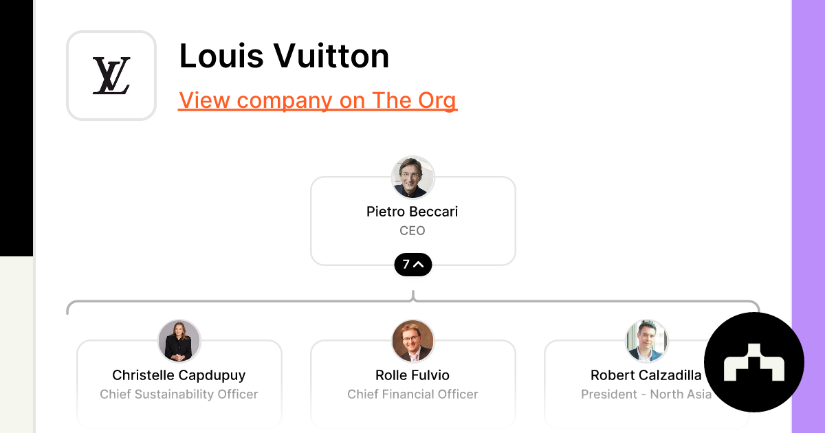 Rolle Fulvio - Chief Financial Officer at Louis Vuitton
