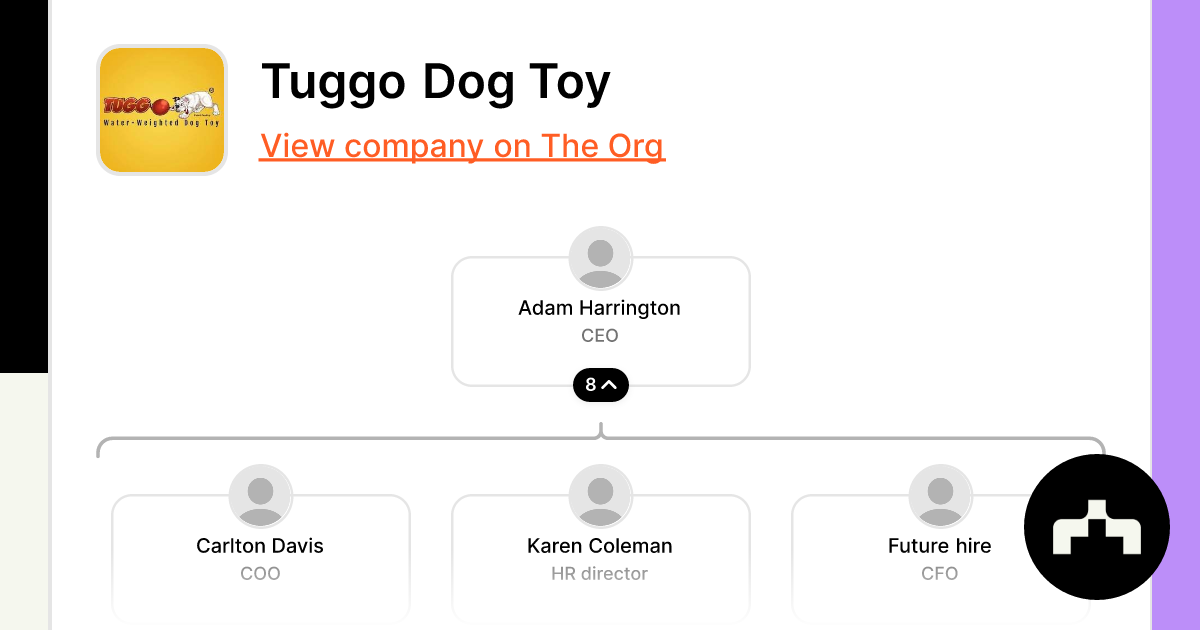 Tuggo Dog Toys - Award Winning Water Weighted Toys