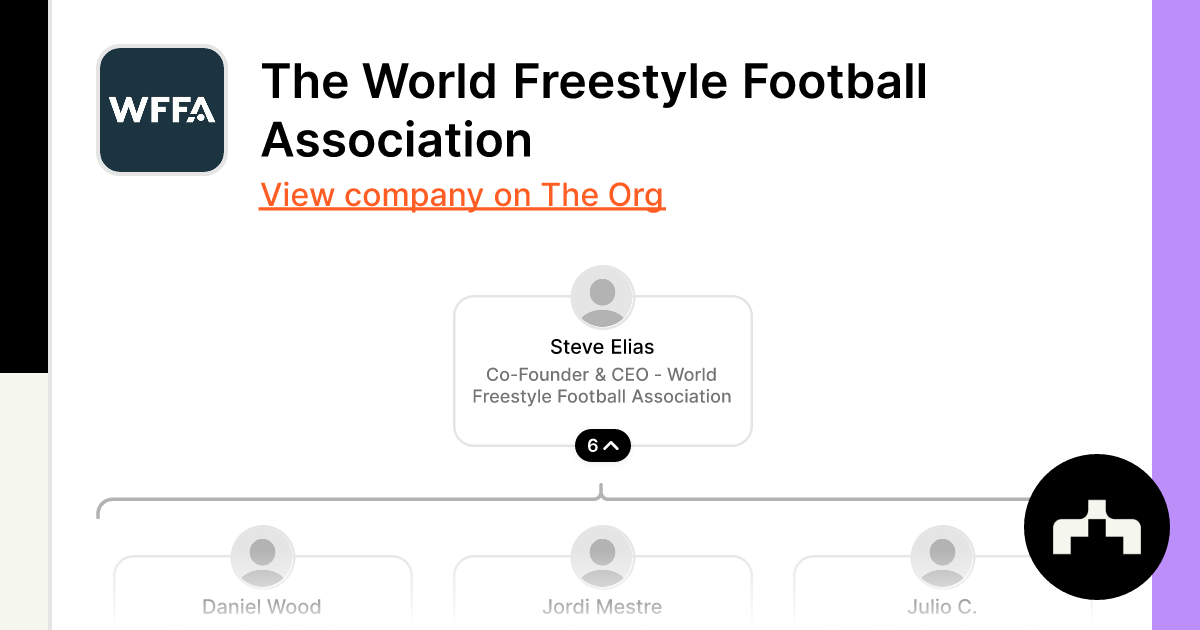The World Freestyle Football Association