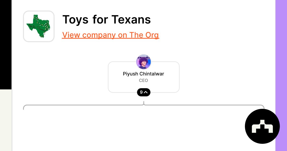 Toys for Texans