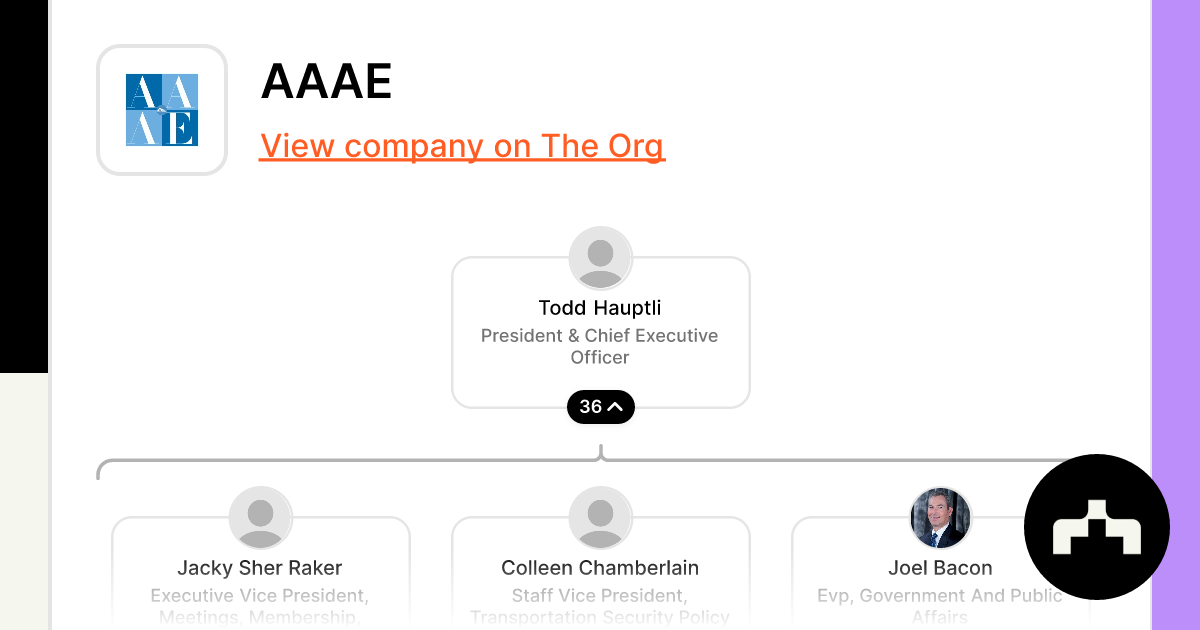 Vandewiele nv - Org Chart, Teams, Culture & Jobs